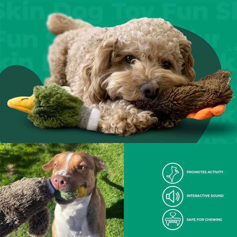 Best Pet Supplies 2-in-1 Stuffless Squeaky Dog Toys With Soft, Durable Fabric For Small, Medium, And Large Pets, No Stuffing For Indoor Play, Supports Active Biting And Play - 1Wild Duck