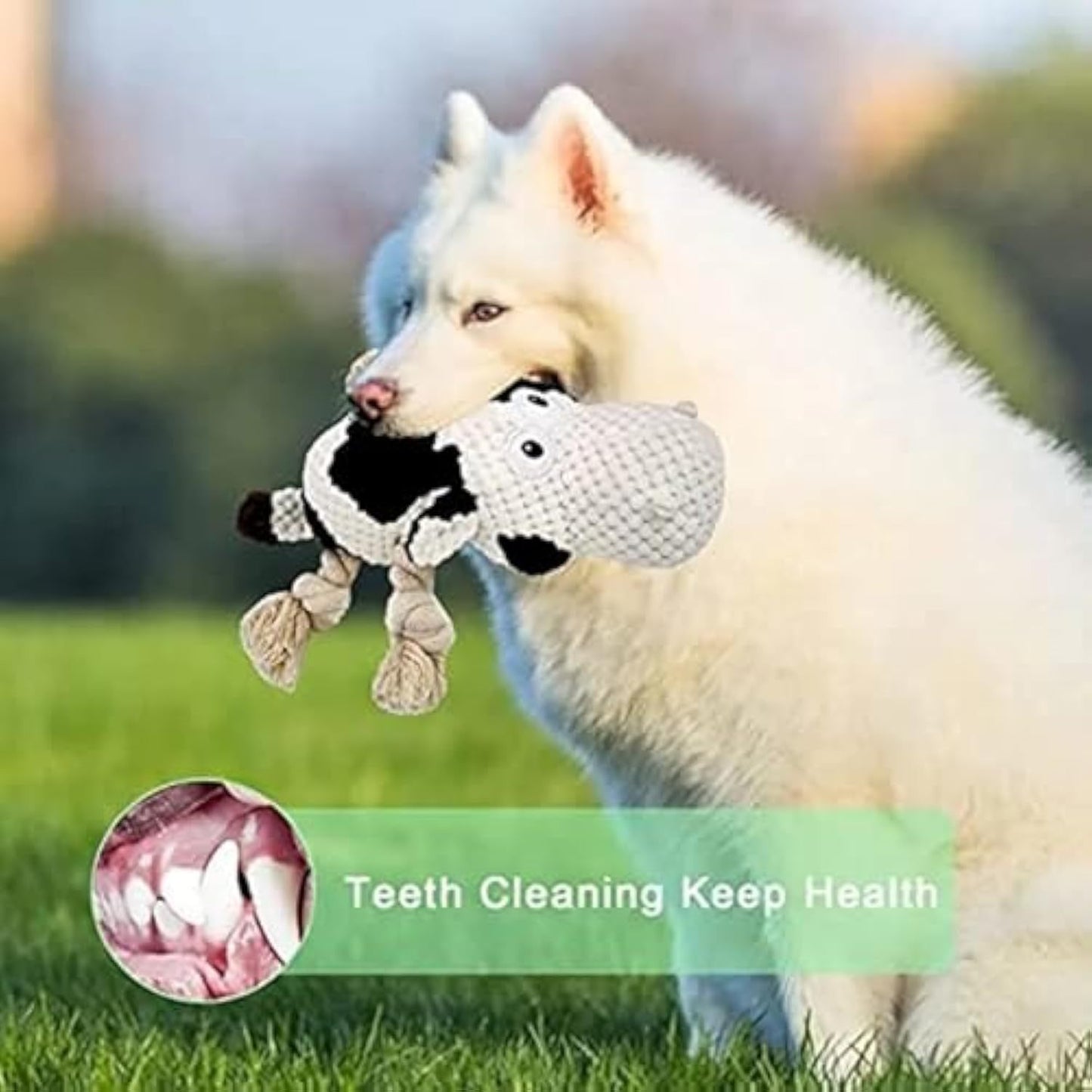 Squeaky Dog Toys Dog Plush Toy Dog Stuffed Animals Chew Toy Cute Dog Toys Stuffed Animals Toys For Dogs Durable Cow Dog Toy Best Toy For For Puppy Small Medium And Large Dogs